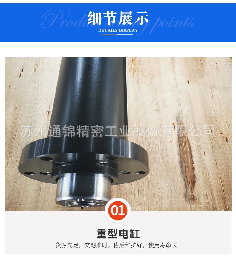 TJER120重負(fù)載電動(dòng)缸